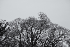 Romantic compositions