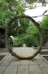 芽の輪くぐり　高津宮