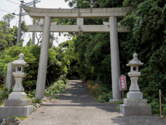 原始林の島　春日神社鳥居