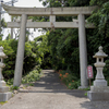 原始林の島　春日神社鳥居