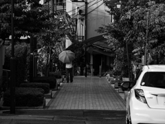 monochrome leica