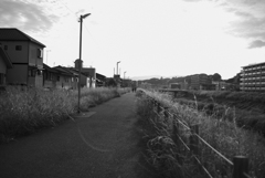 山科川の土手