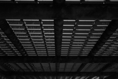 light & shadow