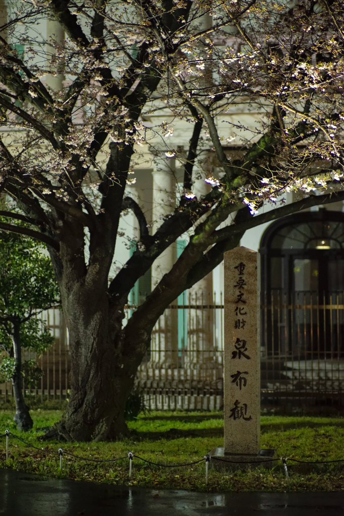 春雨