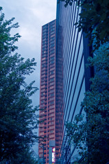 天六