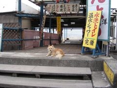 阿漕浦