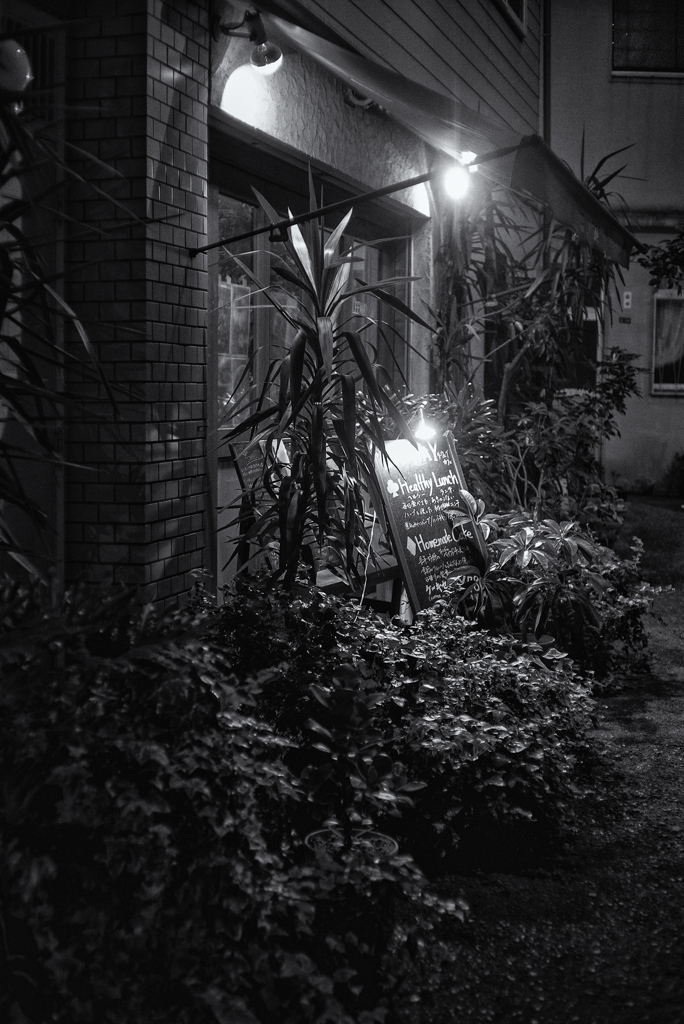 monochrome