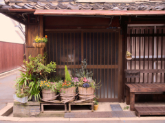 植える生活