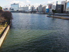 堂島川天満橋望む