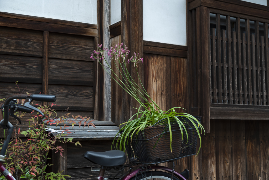 河内の寺内町　富田林