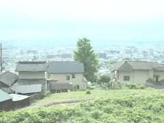大阪平野