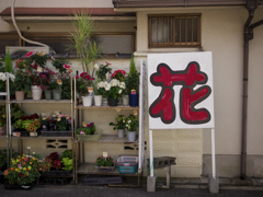 OSAKA GREEN STREETS