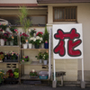 OSAKA GREEN STREETS