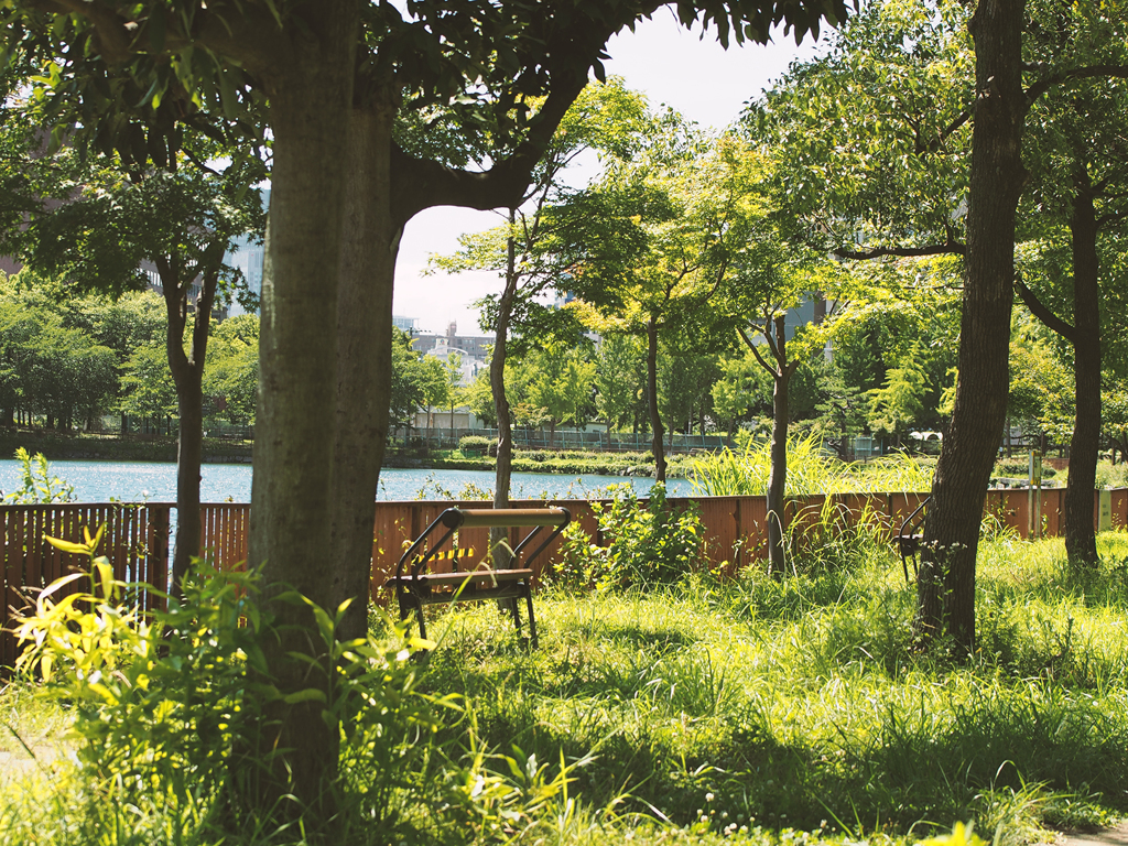大阪城公園　昼下がり