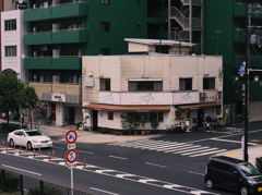 春の夢 - 咲き始めの桜を巡り