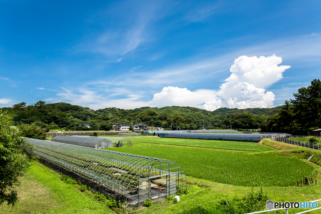 【福岡県志賀島】田園風景