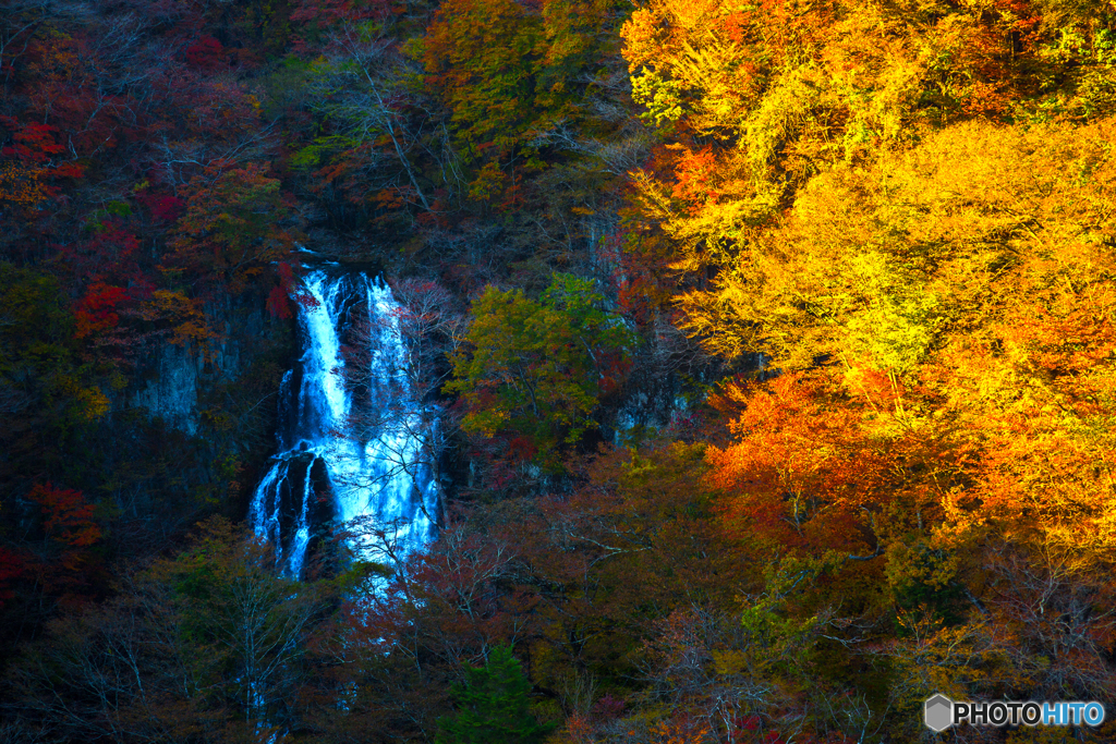 霧降の滝 紅葉