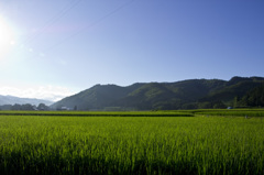 IMG_9511raw