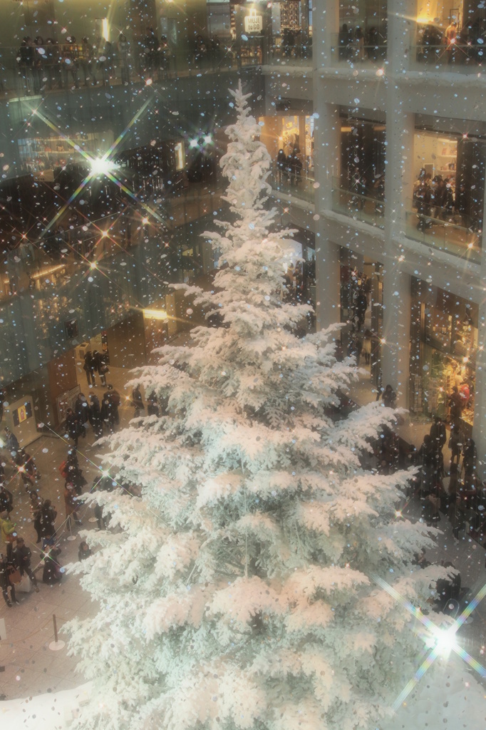 White　Xmas