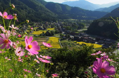 里山の秋