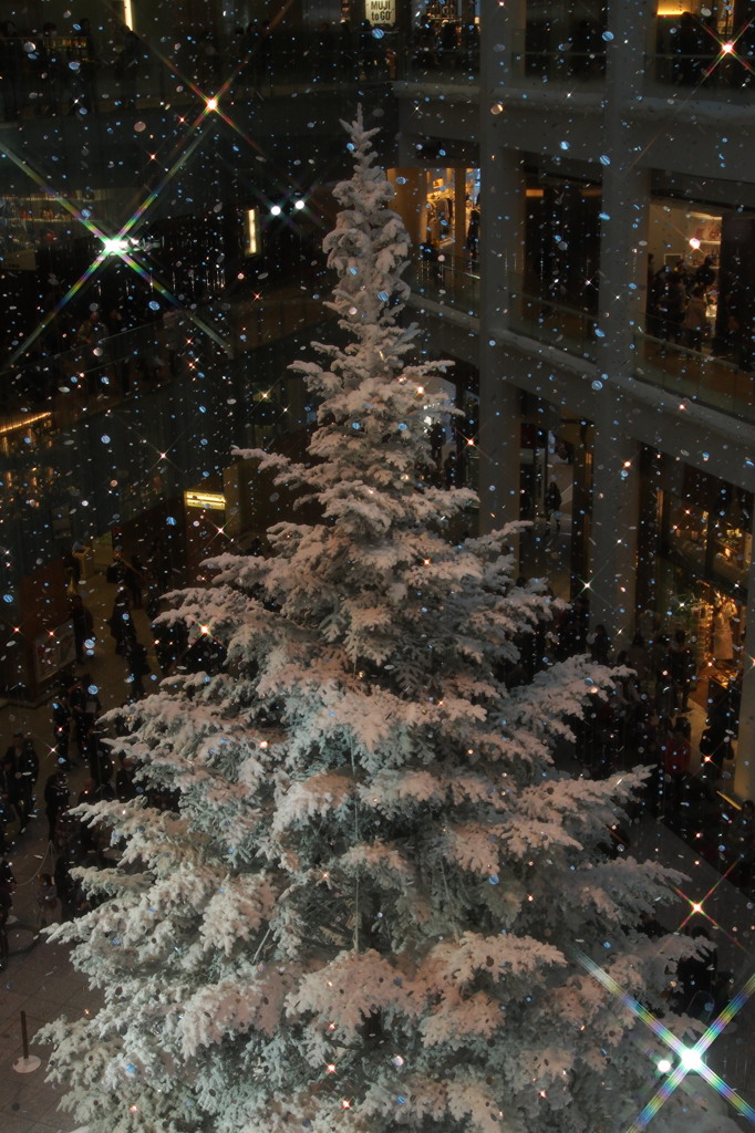 Xmas　Night