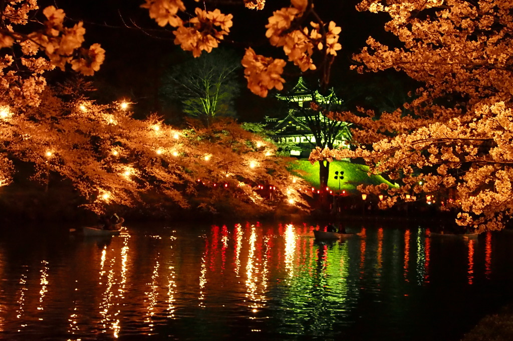 高田観桜会2013