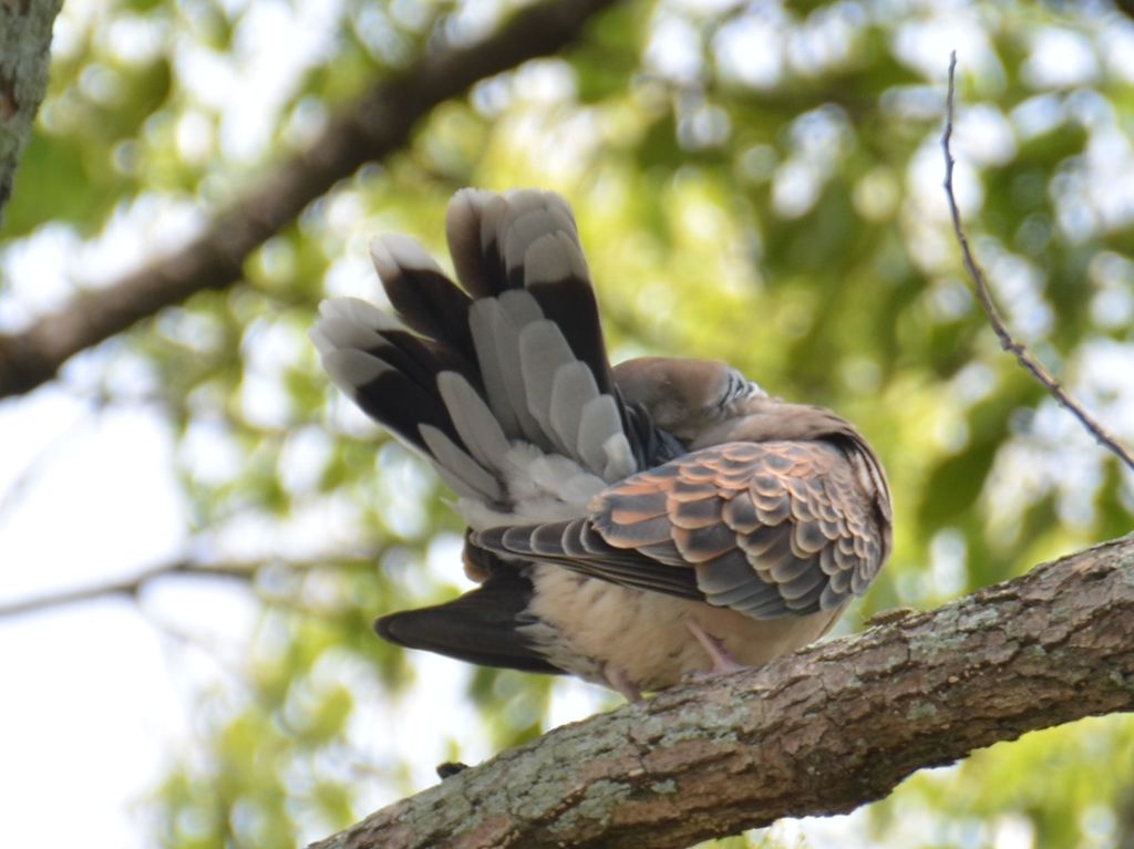 私、恥ずかしい！