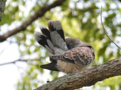 私、恥ずかしい！