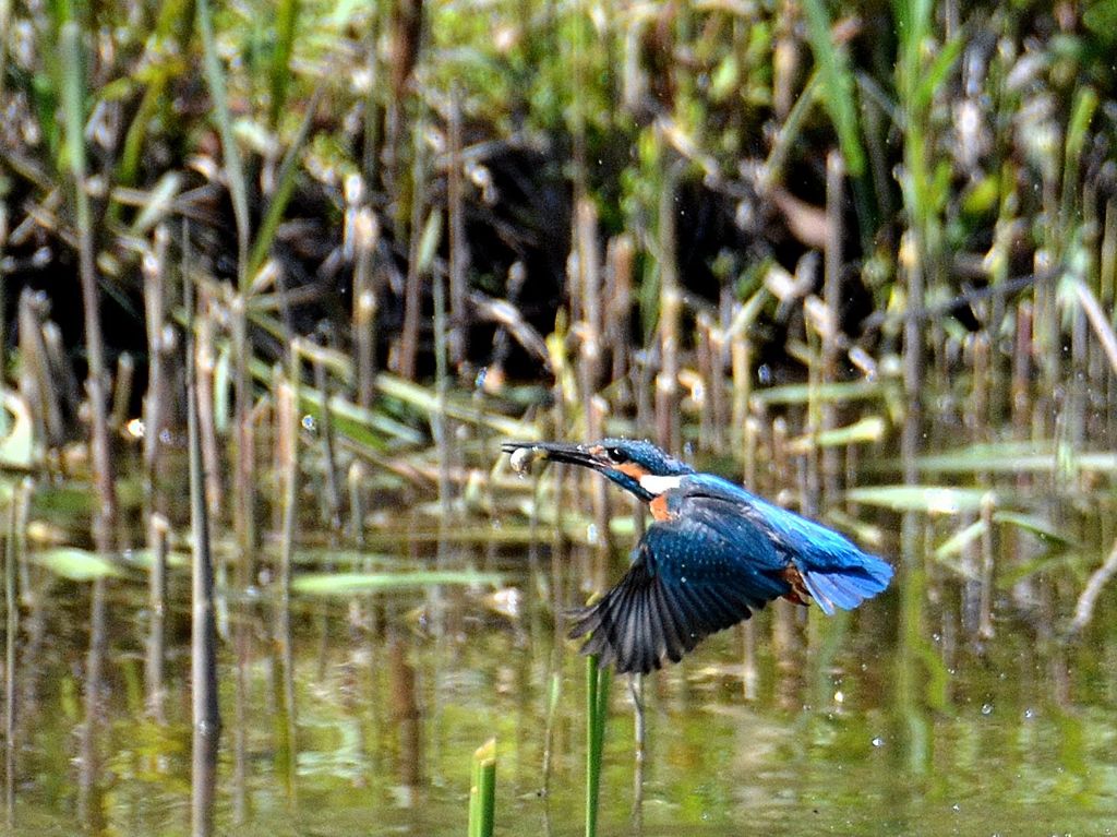 今日も家族の為に　お父さん