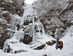 四王寺の滝1