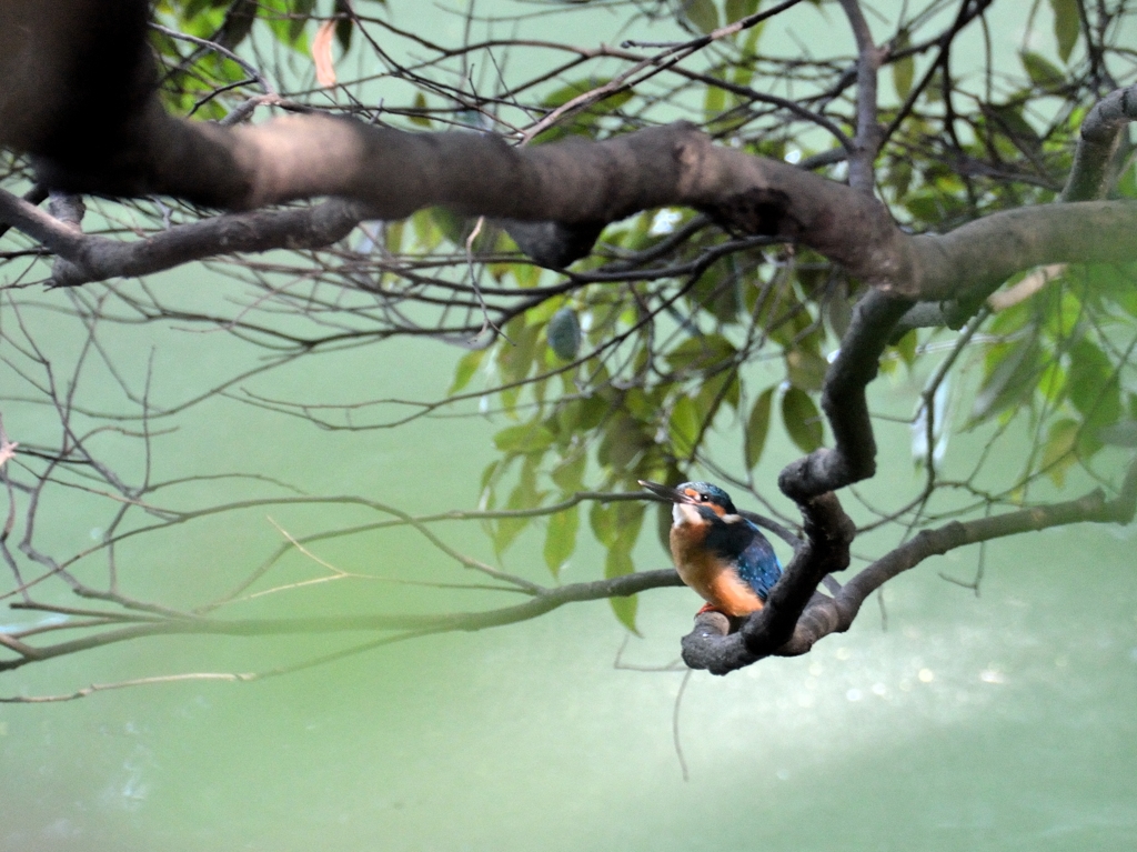 木漏れ日の中で