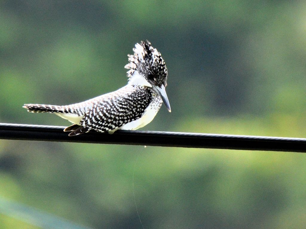 あなたを見つめて