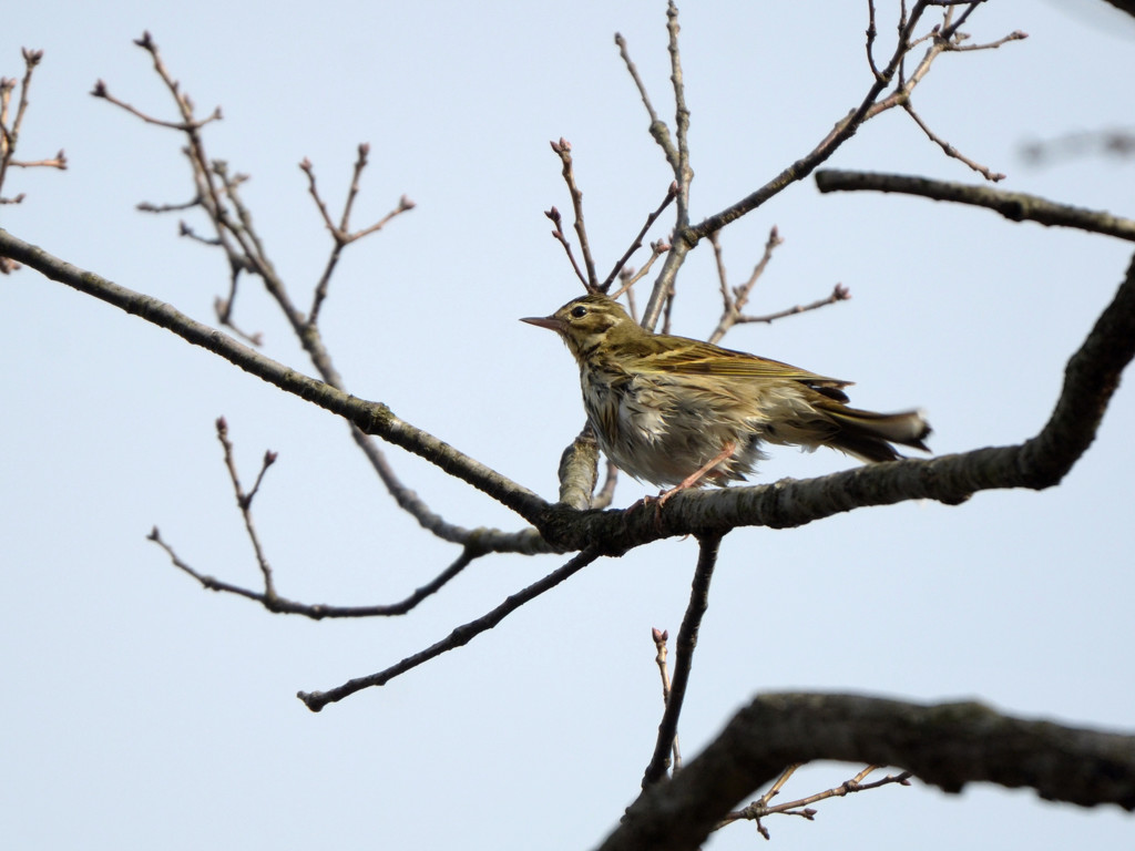 水も滴る良い男