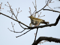 水も滴る良い男