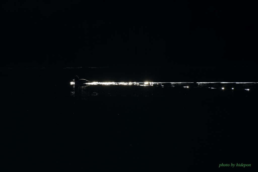 光の道_1