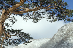 赤城山風景