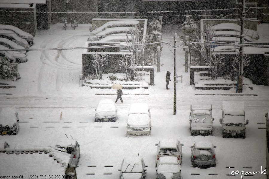 snowing in kawaguchi