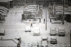 snowing in kawaguchi