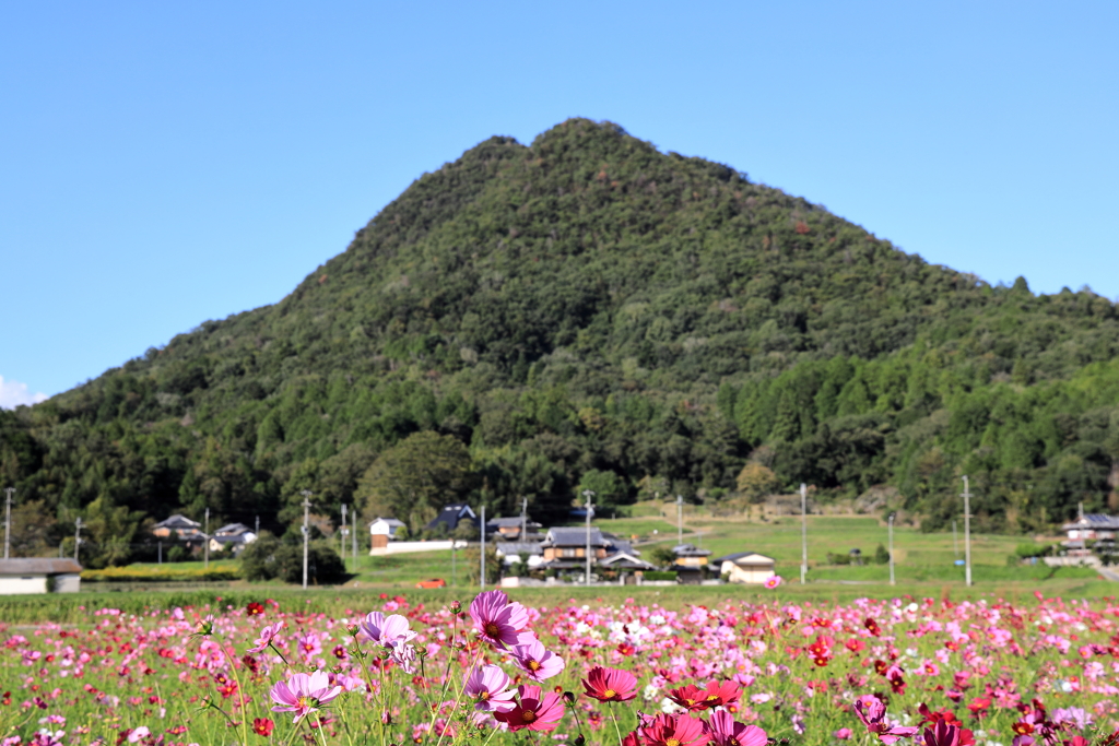 波豆川