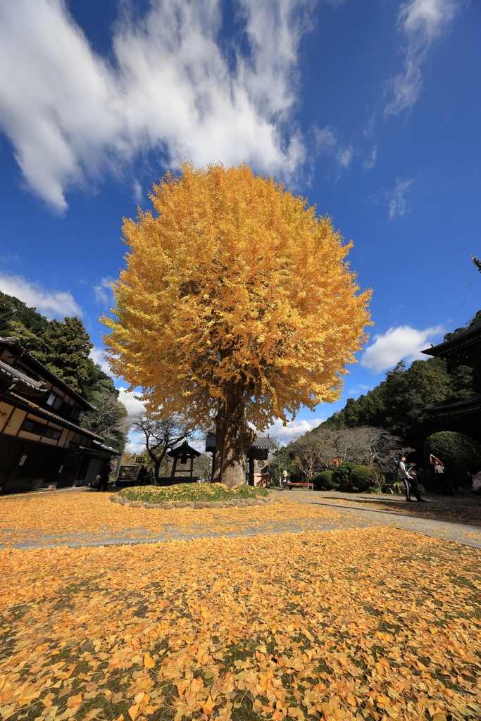 弘誓寺（ぐぜいじ）