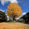 弘誓寺（ぐぜいじ）