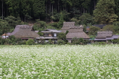 間に合った！