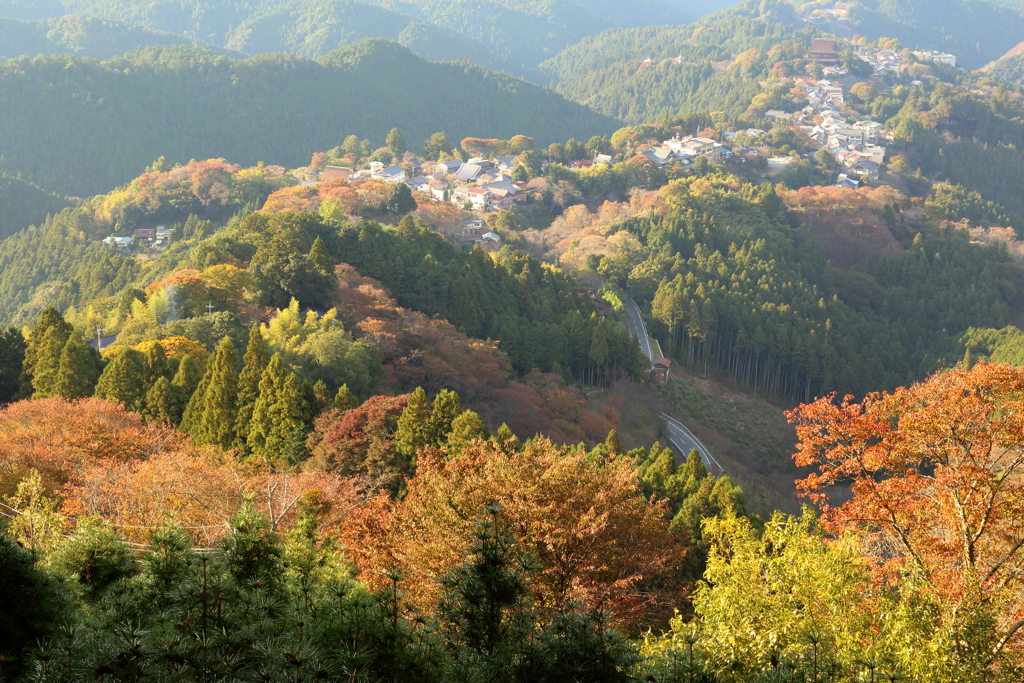 吉野秋景