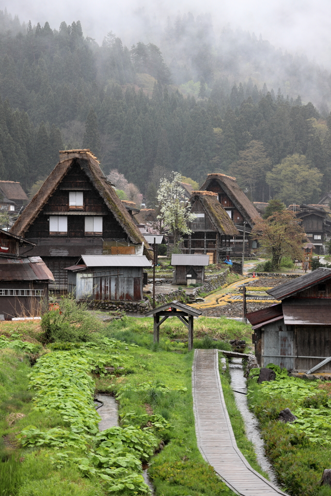 白川郷