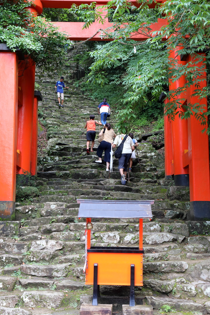 登る登る