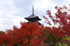 東寺