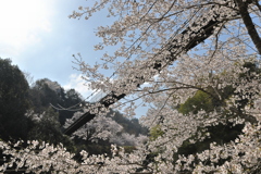 草山温泉