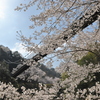 草山温泉