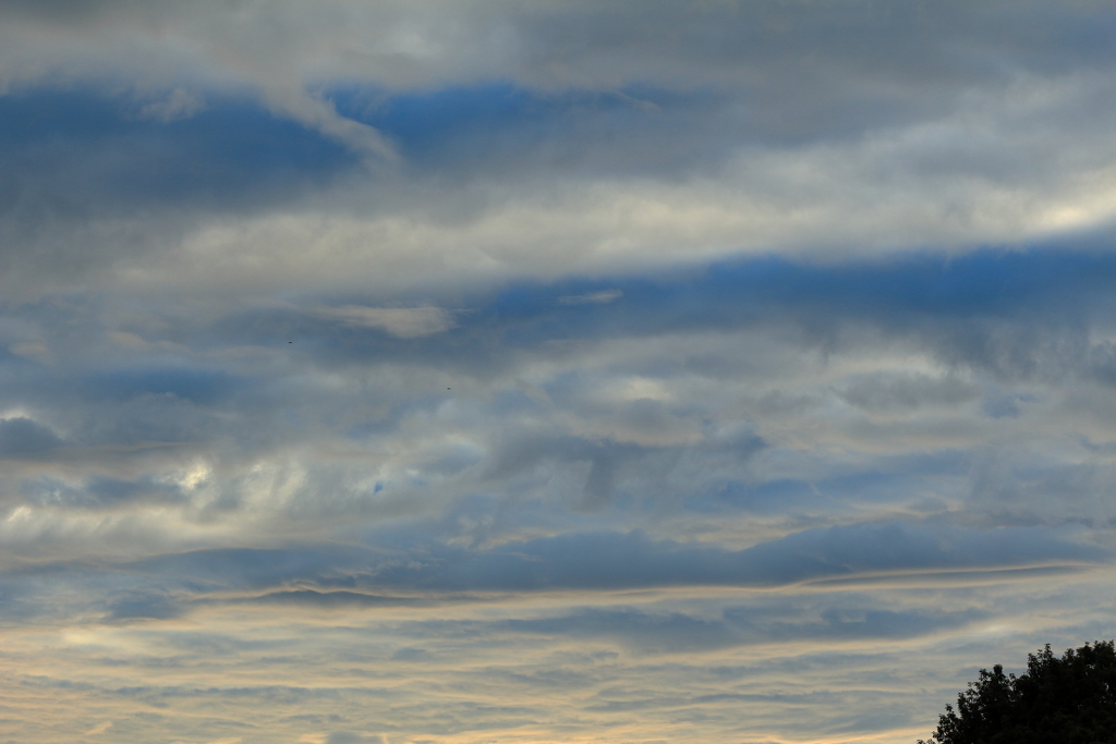 朝空