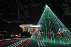 Sai-sta. X'mas
